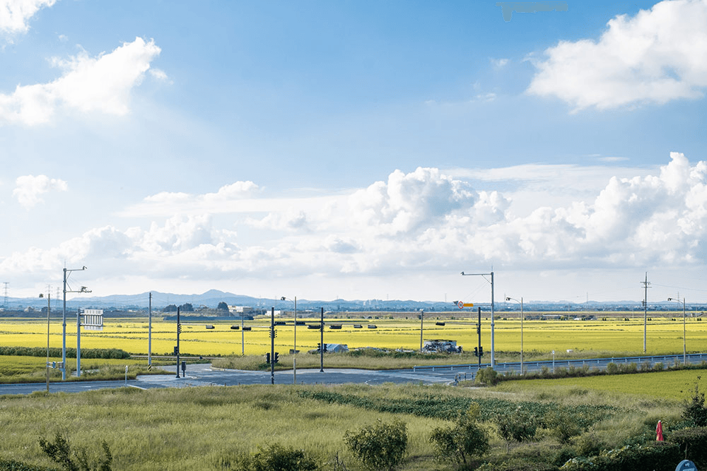 [유료] 중장년 대상 여행 프로그램, 삶의 다음 장을 여는 아산 'Re:Life' (DOGO온천)