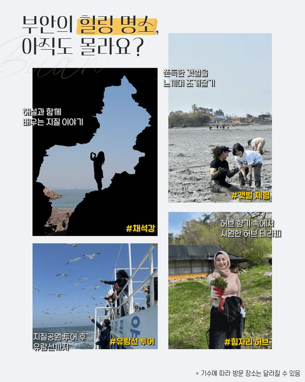 (마감임박) 가장 글로벌한 로컬을 찾는다면? - 부안군 글로컬 청년 워킹홀리데이 3기