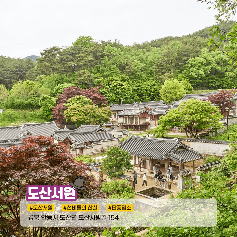 2025 안동 만원의 행복 선비스토리투어 (선착순)