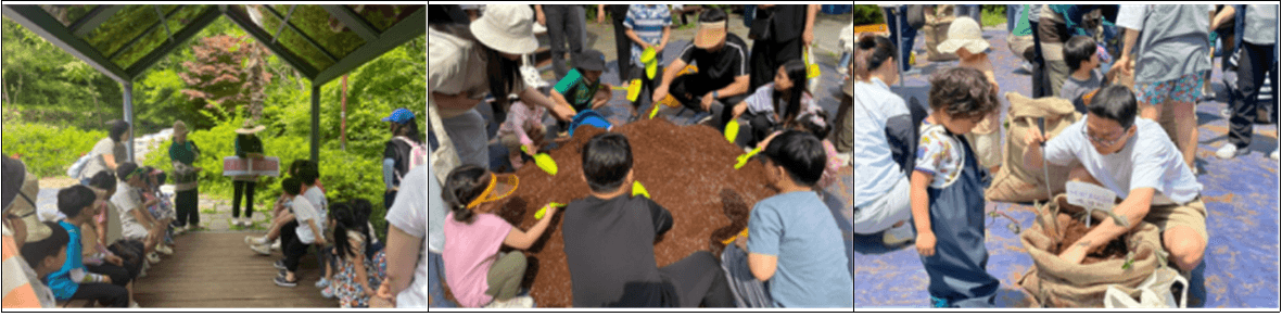 부산 영도구 조내기 고구마구마 - 가족단위 업사이클링 고무가 재배체험 (선착순)