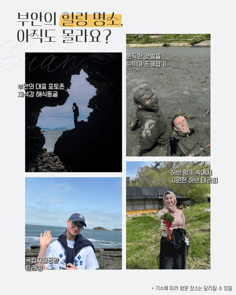 이번이 올해 마지막 기회! 부안군 글로컬 청년 워킹홀리데이 4기