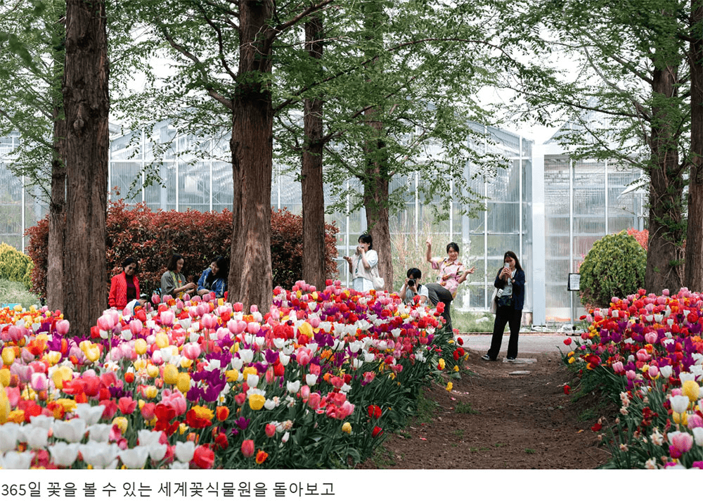 [유료] 중장년 대상 여행 프로그램, 삶의 다음 장을 여는 아산 'Re:Life' (DOGO온천, 선착순)