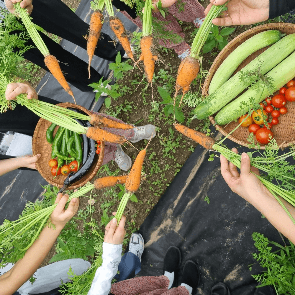 2025 시골언니 프로젝트 2기, 농부력 기르기 편 (거창 5박 6일)