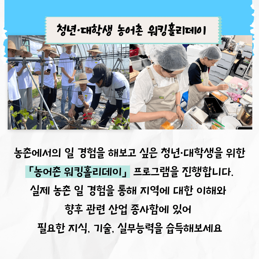 (부안) 청년·대학생 농어촌워킹홀리데이 참여자 모집 3박 4일