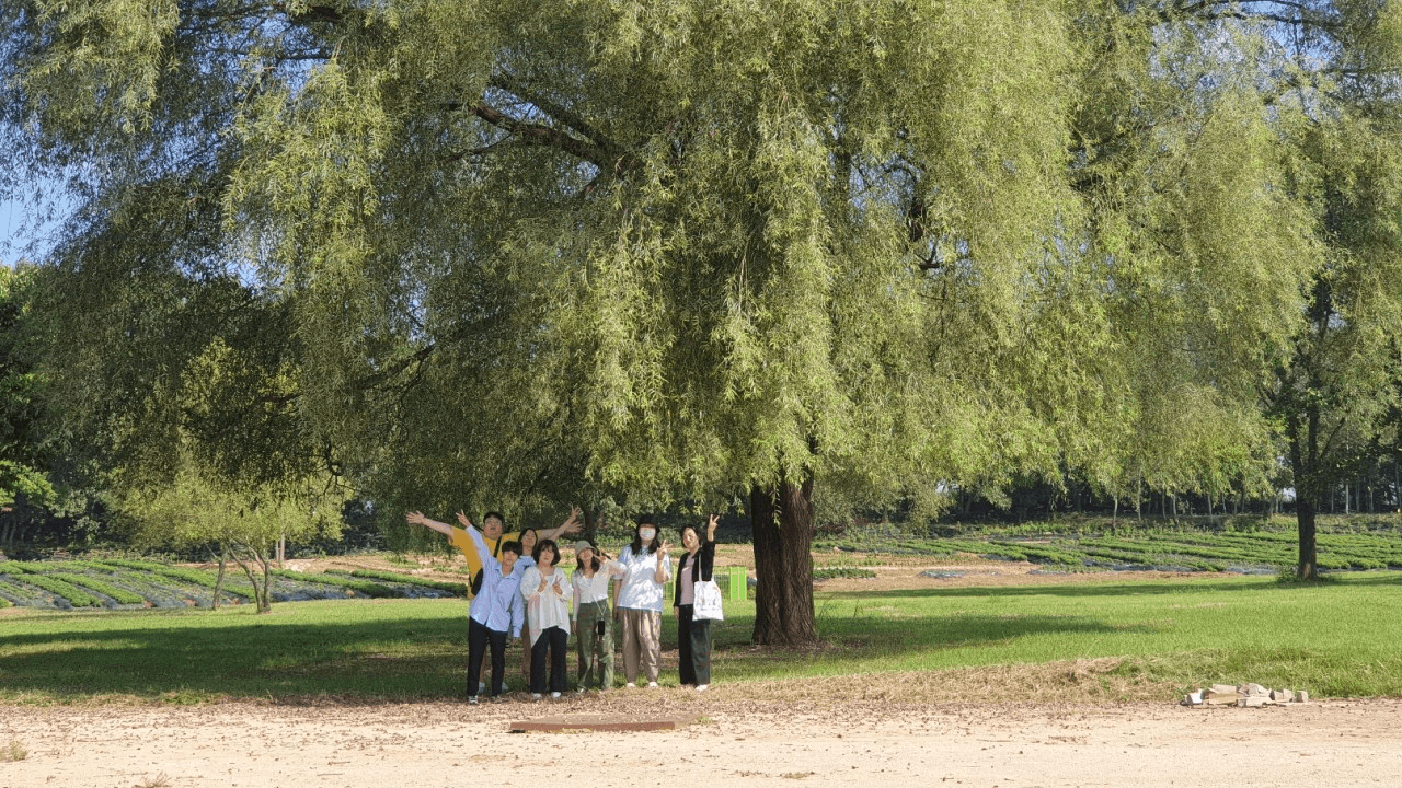 상주 5박6일 시골언니 프로젝트 - 폐교에서 촌스럽게 (1~4기)