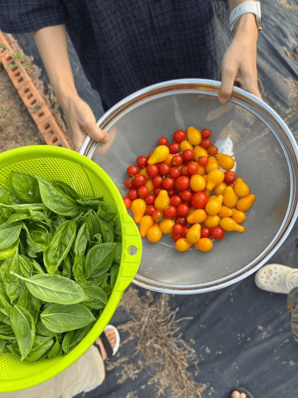 상주 5박6일 시골언니 프로젝트 - 폐교에서 촌스럽게 (1~4기)