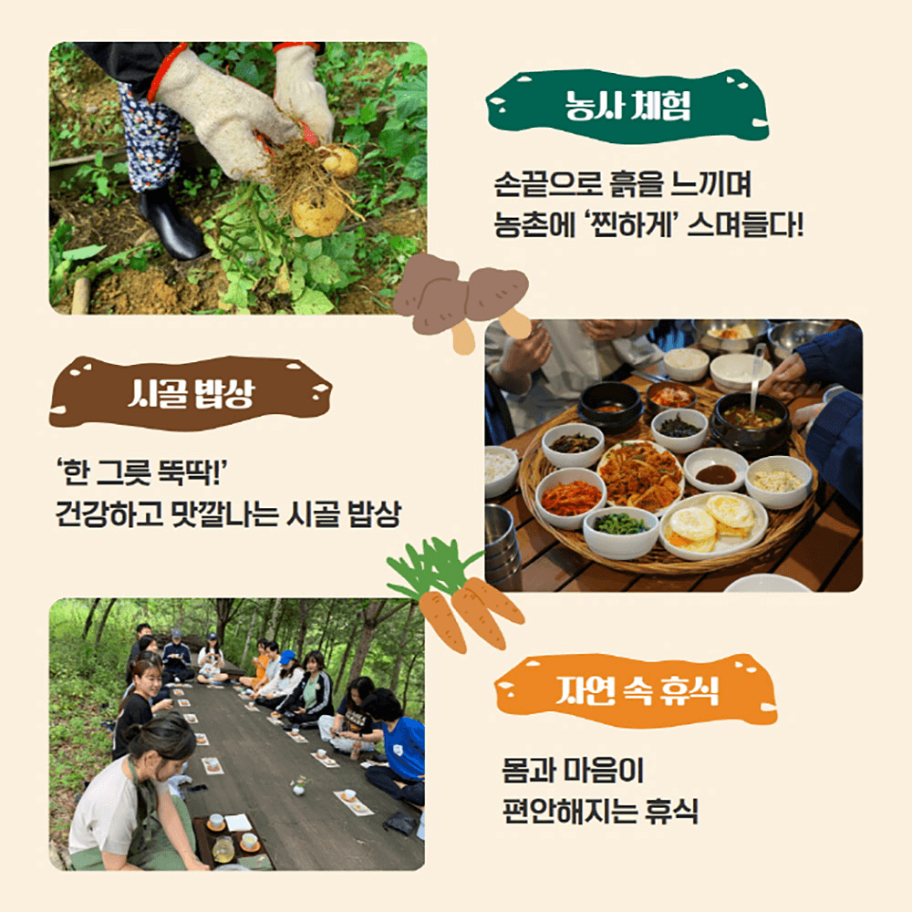 인제 청촌맛농활 - 4박 5일 동안 나도 농부! (추첨제)