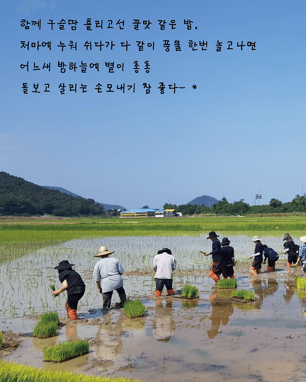 부안 K-손모내기 1박2일 체험 : 가장 한국적으로 일하고, 놀고, 먹기 (선착순 - 조기 모집종료)