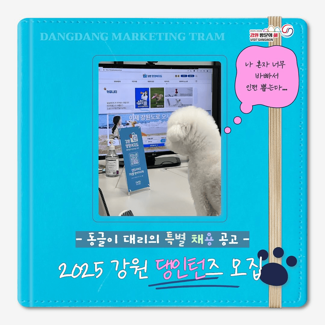 2025 강원 댕인턴즈 모집