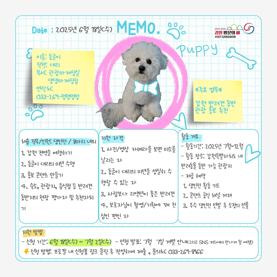 2025 강원 댕인턴즈 모집