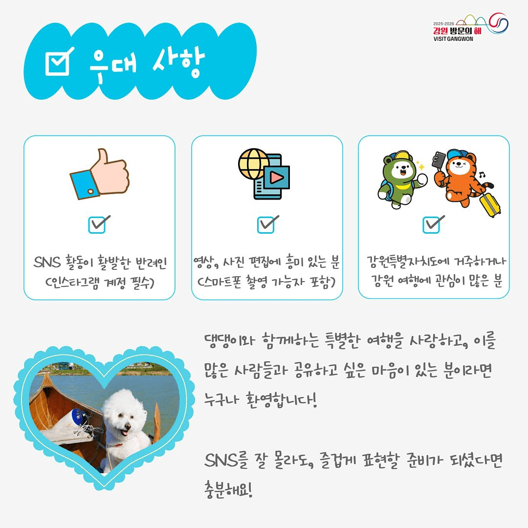 2025 강원 댕인턴즈 모집