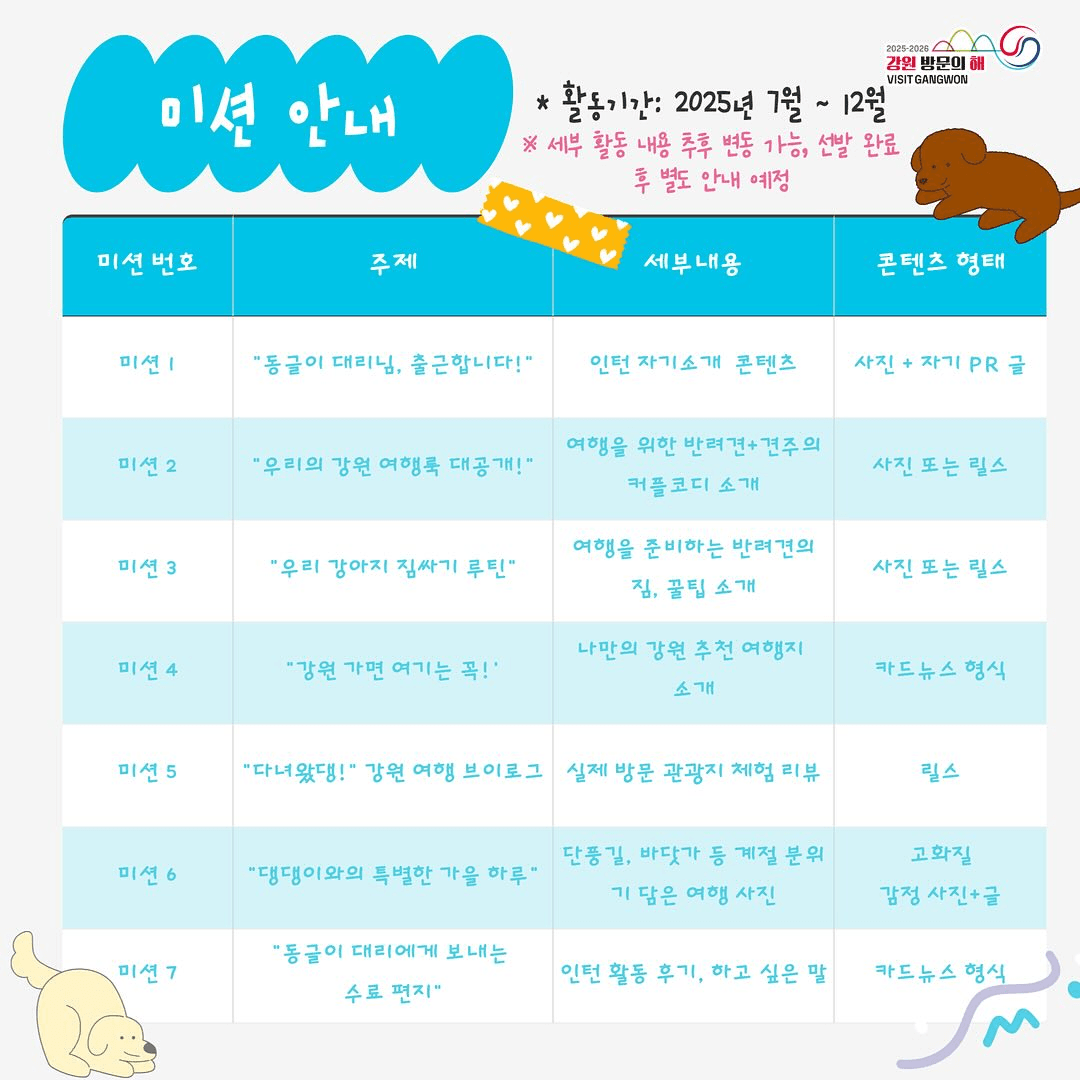 2025 강원 댕인턴즈 모집