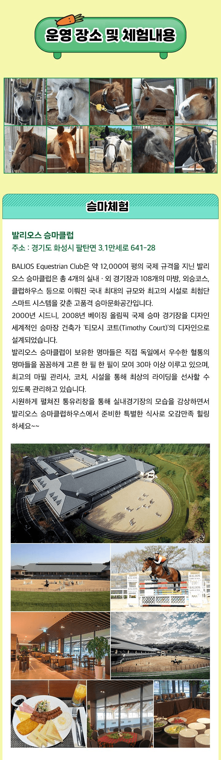 2025년 Horse & Farm Tour! 경기 마·농(馬農) 문화체험 (교사 힐링승마 2차)