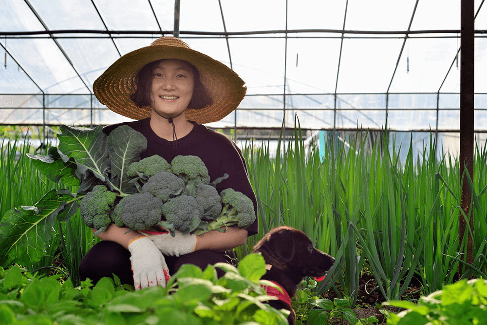 밀양 계곡에서 맞이하는 동화같은 여름 <7월 연결-트립>
