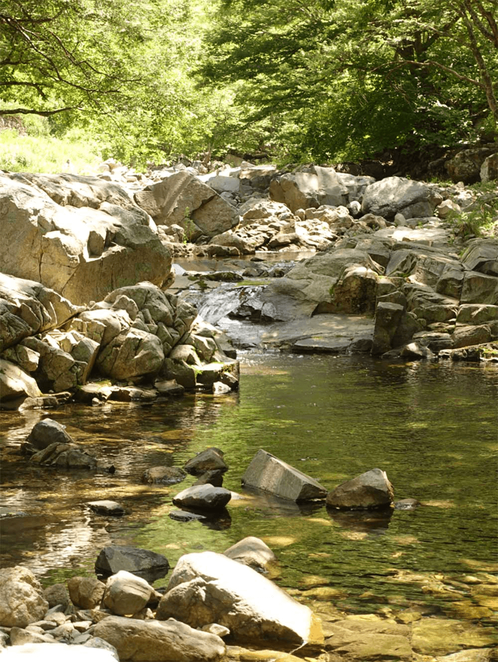 밀양 계곡에서 맞이하는 동화같은 여름 <7월 연결-트립>