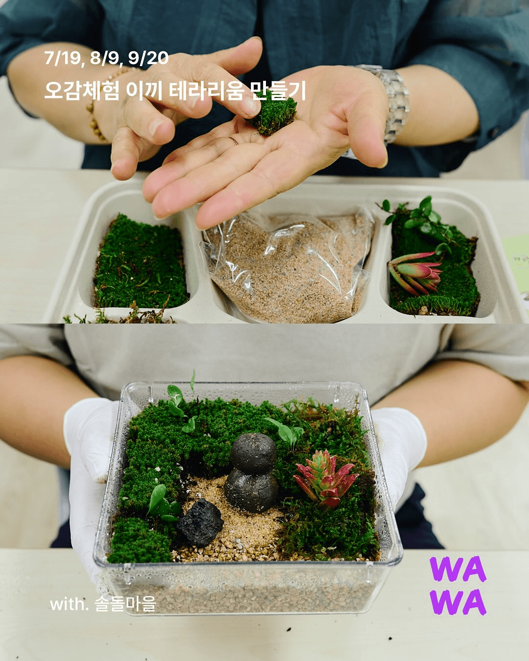 2025 정선 토요 웰니스 프로그램 (선착순)