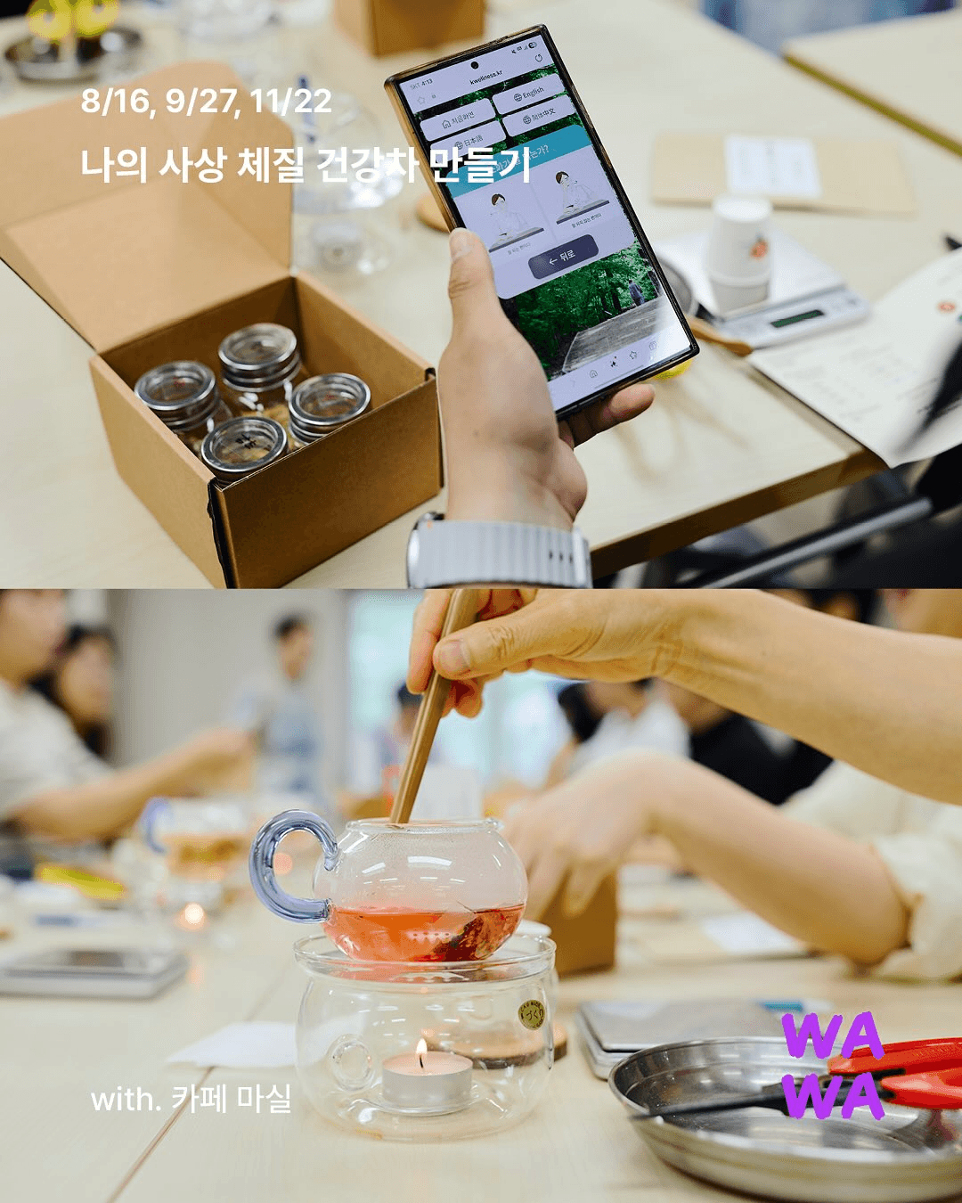 2025 정선 토요 웰니스 프로그램 (선착순)