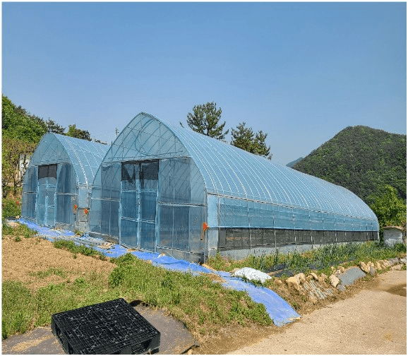 청도 당호리마을 살아보기 2기 (농촌 살아보기)