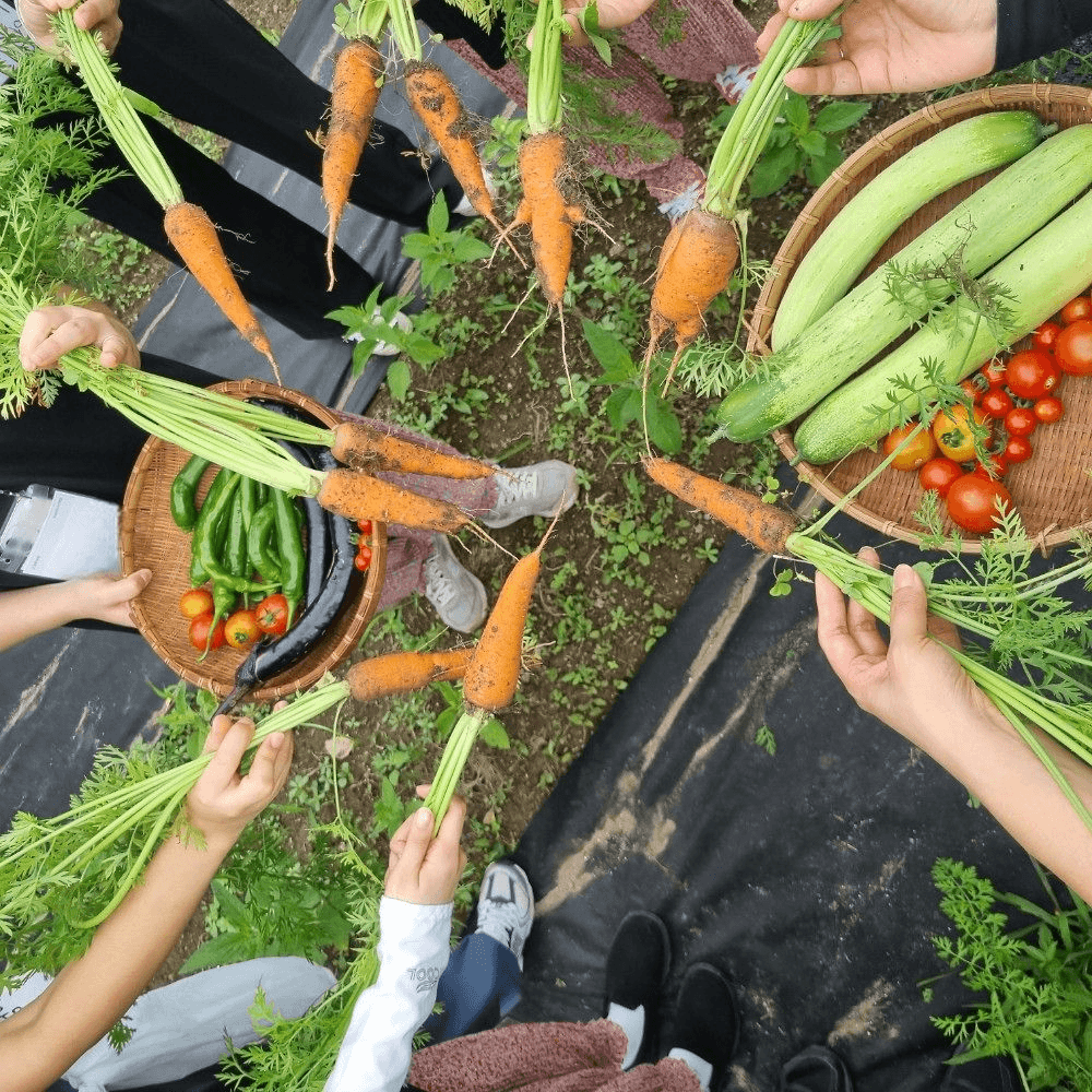 거창 5박6일 농부력 기르기 편 (시골언니 프로젝트 2기)