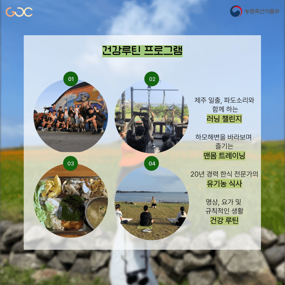 2025년 제주 워홀로 즐기는 로컬생활 1~3기 모집