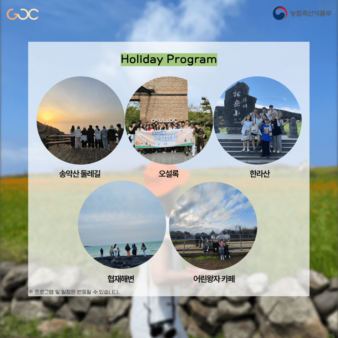 2025년 제주 워홀로 즐기는 로컬생활 1~3기 모집