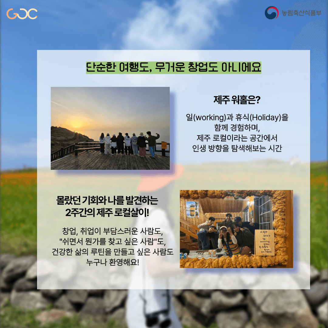 2025년 제주 워홀로 즐기는 로컬생활 1~3기 모집