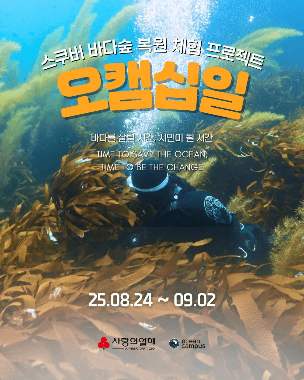 영덕 울진 어촌 살아보기 : 스쿠버 바다숲 복원 프로젝트