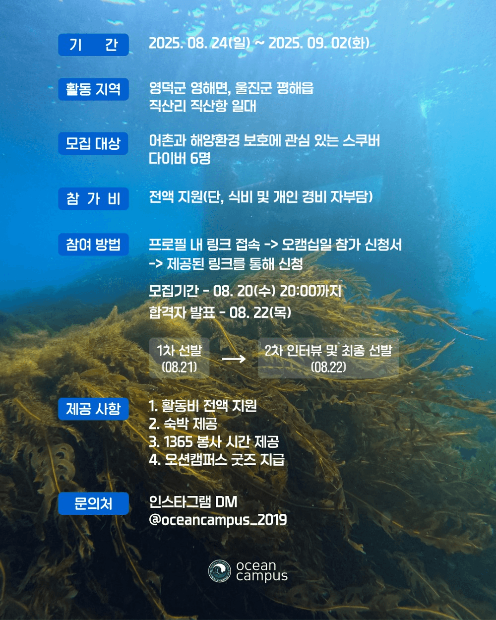 영덕 울진 어촌 살아보기 : 스쿠버 바다숲 복원 프로젝트