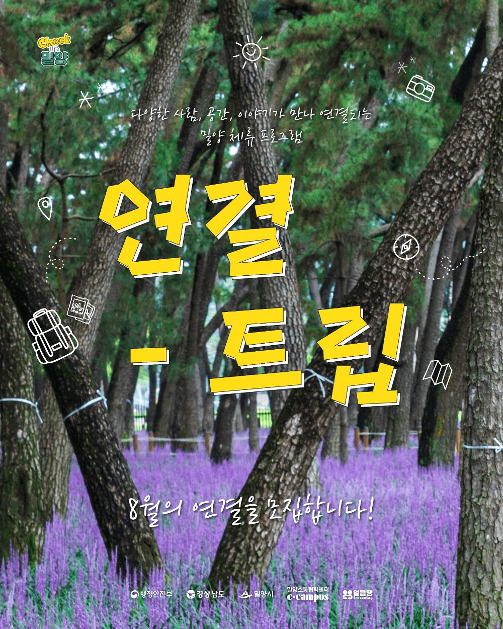 여름 끝자락, 밀양의 솔숲이 이어주는 하루 <8월 연결-트립>