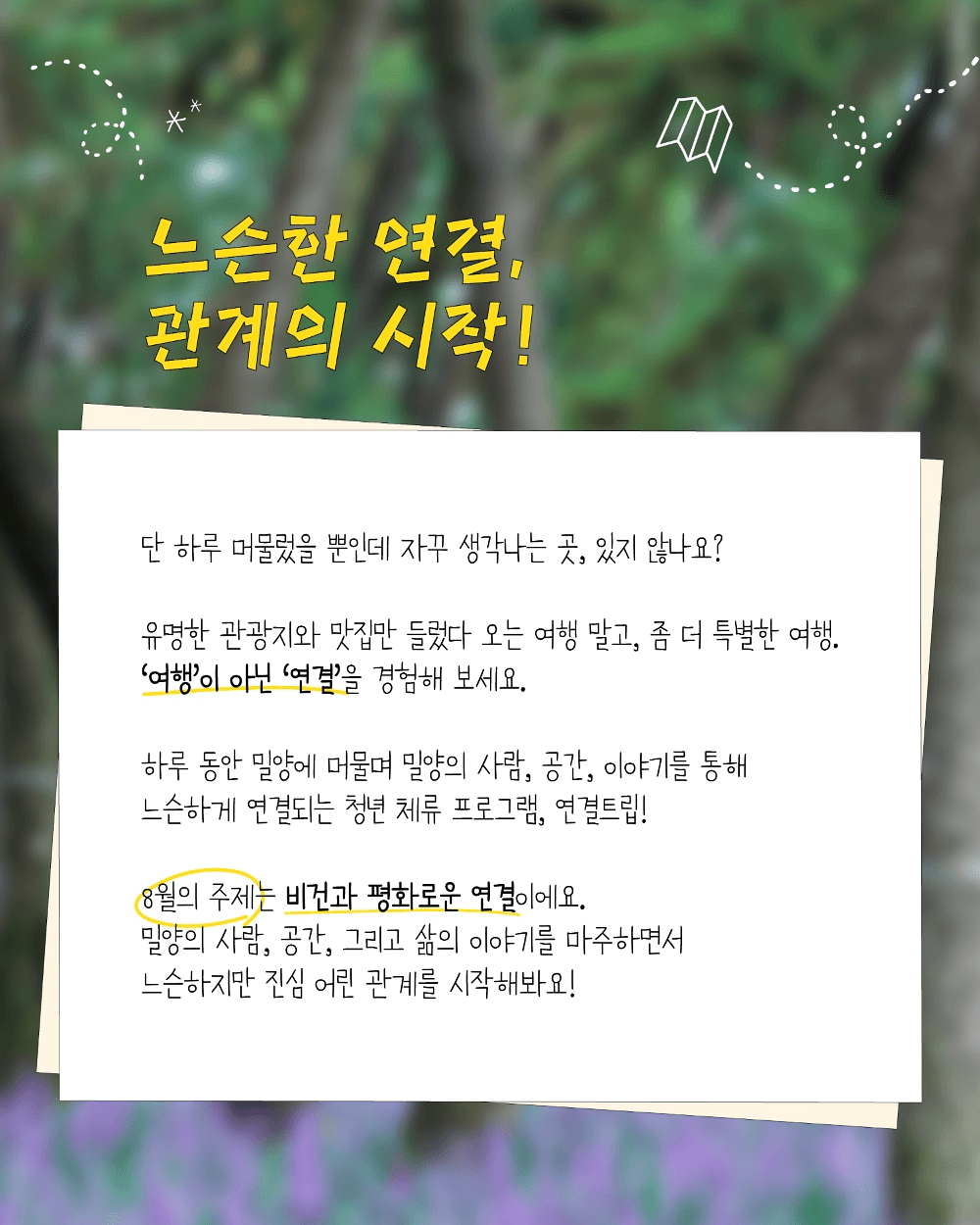 여름 끝자락, 밀양의 솔숲이 이어주는 하루 <8월 연결-트립>
