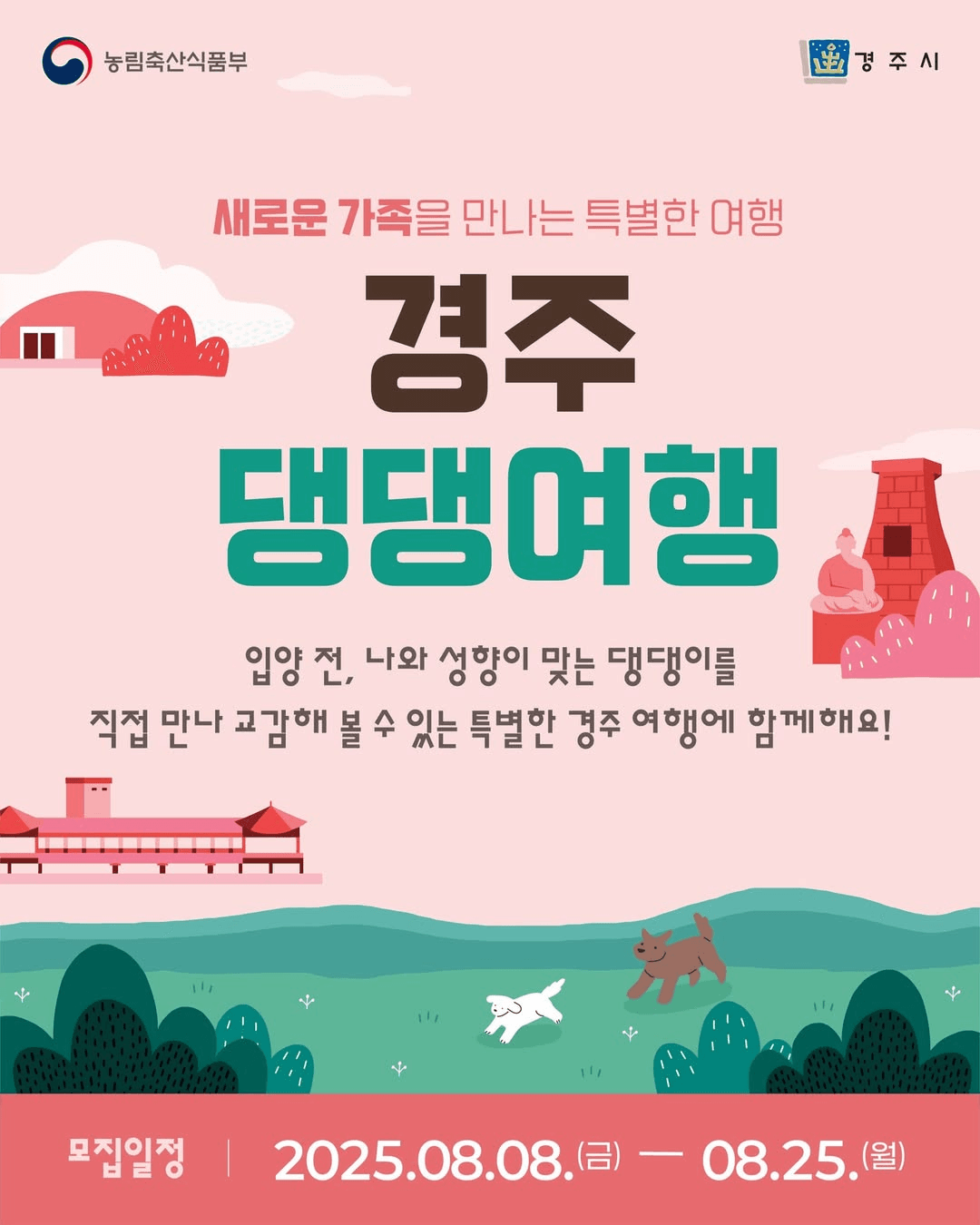 경주 댕댕여행, 새로운 가족을 만나는 특별한 여행