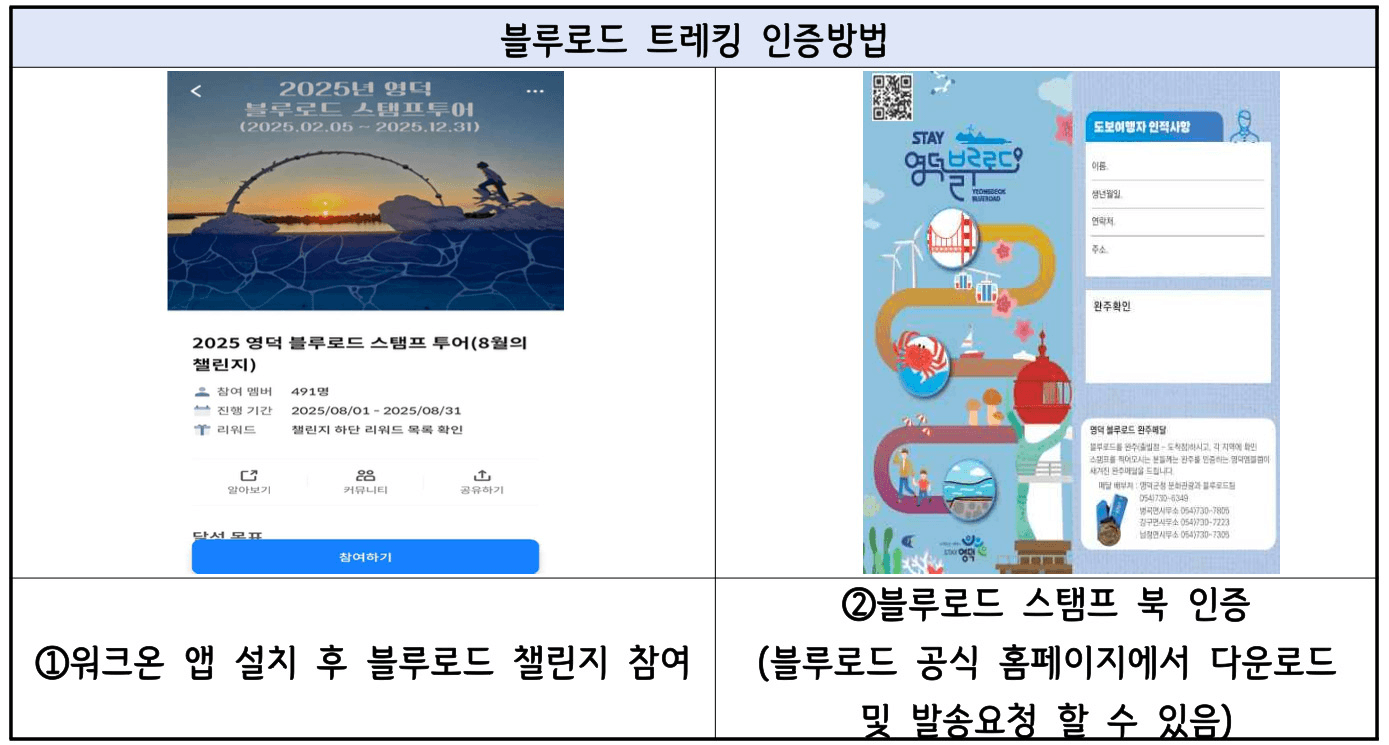 영덕 여행 블루로드 서핑 체험, 웰니스 자유여행 (1회차, 선착순)