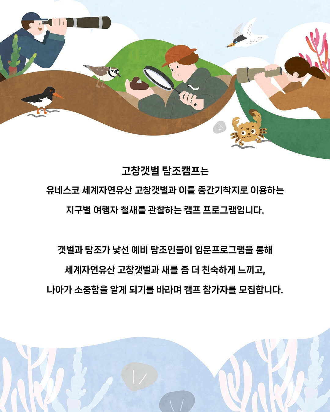 고창갯벌 탐조캠프 - 갯벌 섬 탐험 (선착순 - 조기 모집종료)