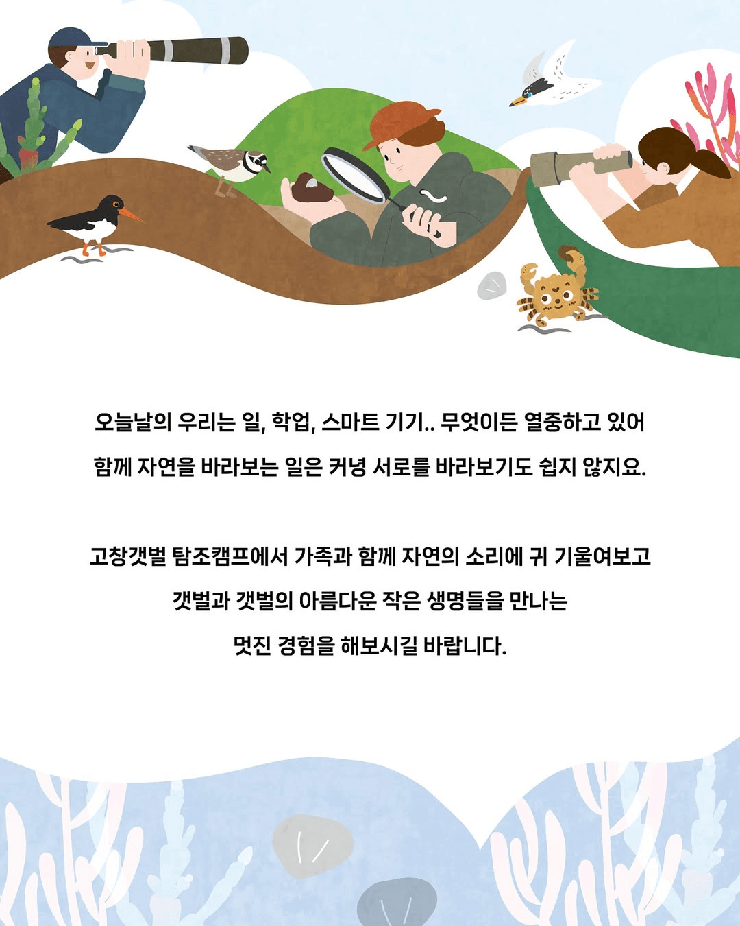 고창갯벌 탐조캠프 - 갯벌 섬 탐험 (선착순 - 조기 모집종료)