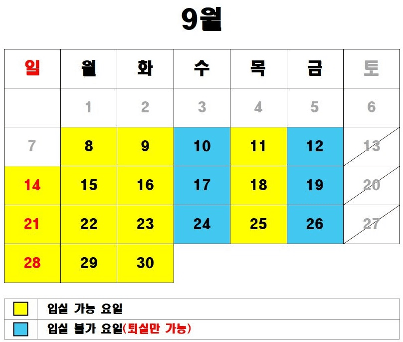거제도 학동자동차야영장 SNS 체험단 