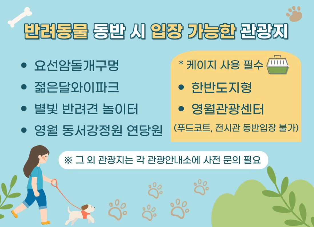 영월 자유 여행의 새 기준, YOUNG TAXI (+관광지 할인)