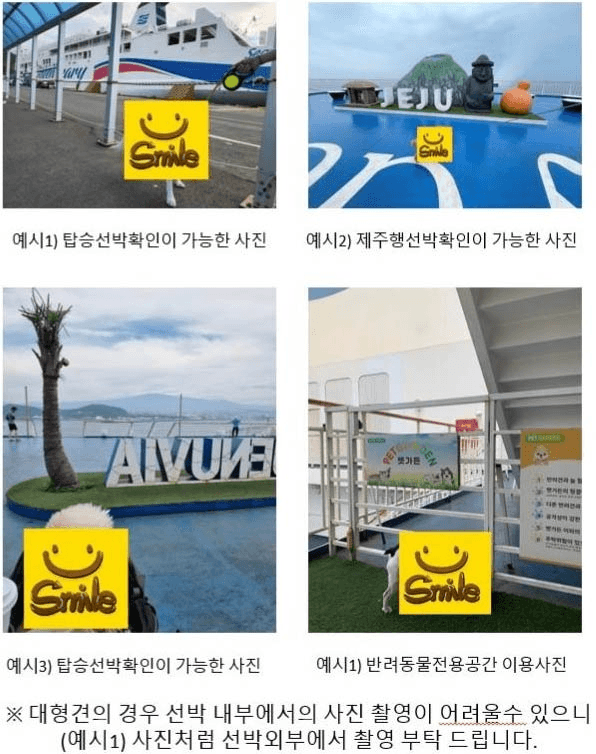 제주도 반려동물 동반 여행객 3만원 지원 (여객선 대상)