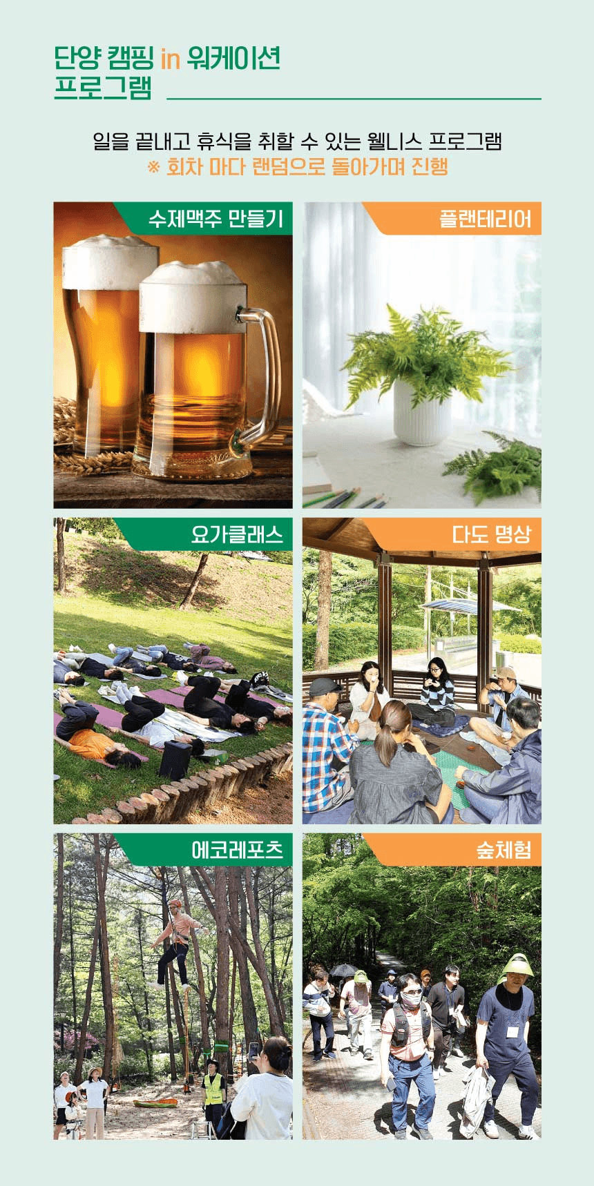 단양 캠핑 in 워케이션