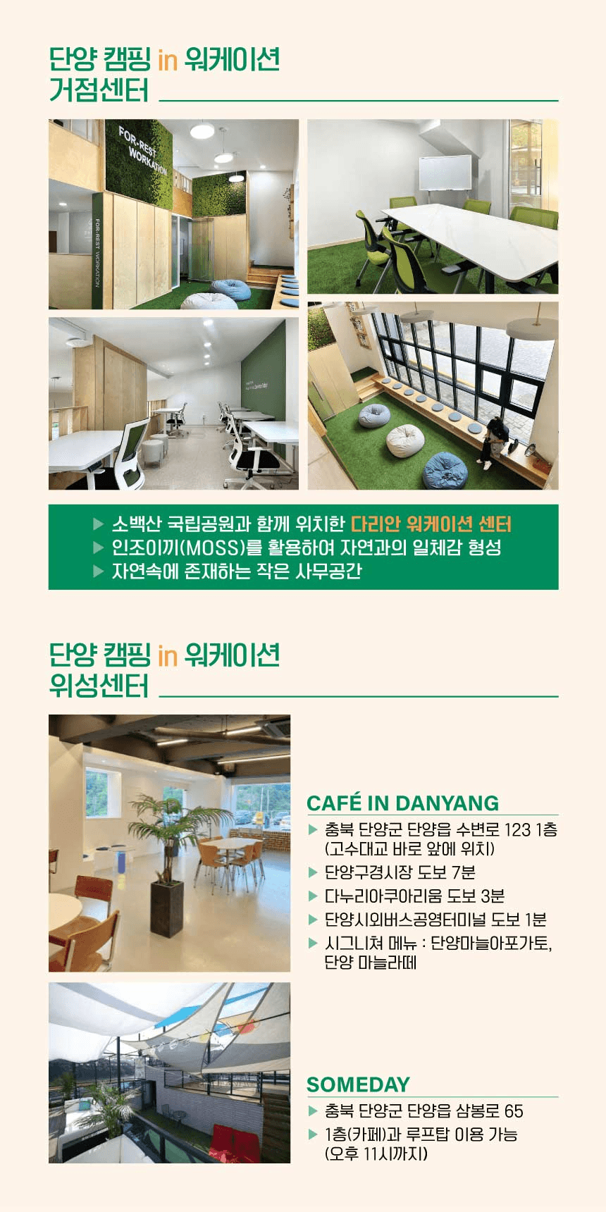 단양 캠핑 in 워케이션