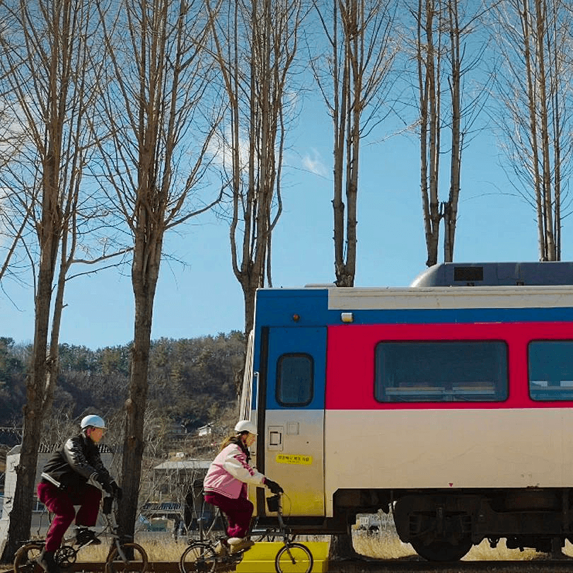(선착순!!) 진주 나이트 자슐랭 투어 : 야간 자전거 투어 + 미슐랭 (2/13 조기 모집종료되었습니다)