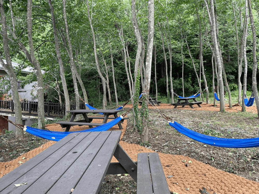 보성 한국천연염색숨마을 살아보기 1기 (농촌살아보기) - 추가모집