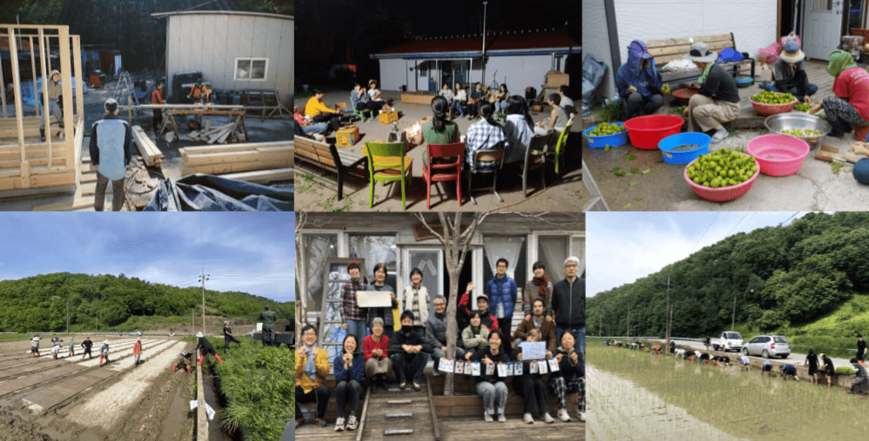 2024년 청년 자자공(自自共) 모집