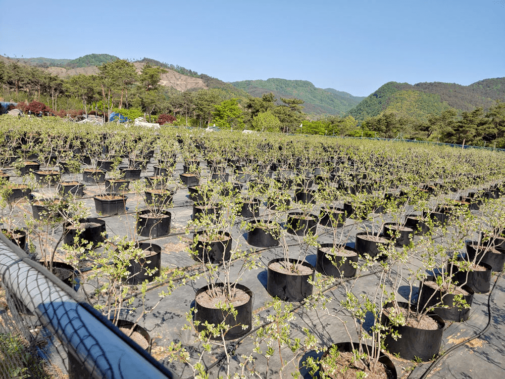 화순 백아산노치마을 살아보기 1기 (농촌살아보기)