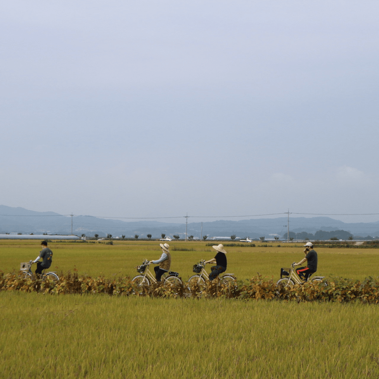 의성 NONVATTE 10만원 통대관 워케이션 선착순 20팀 모집