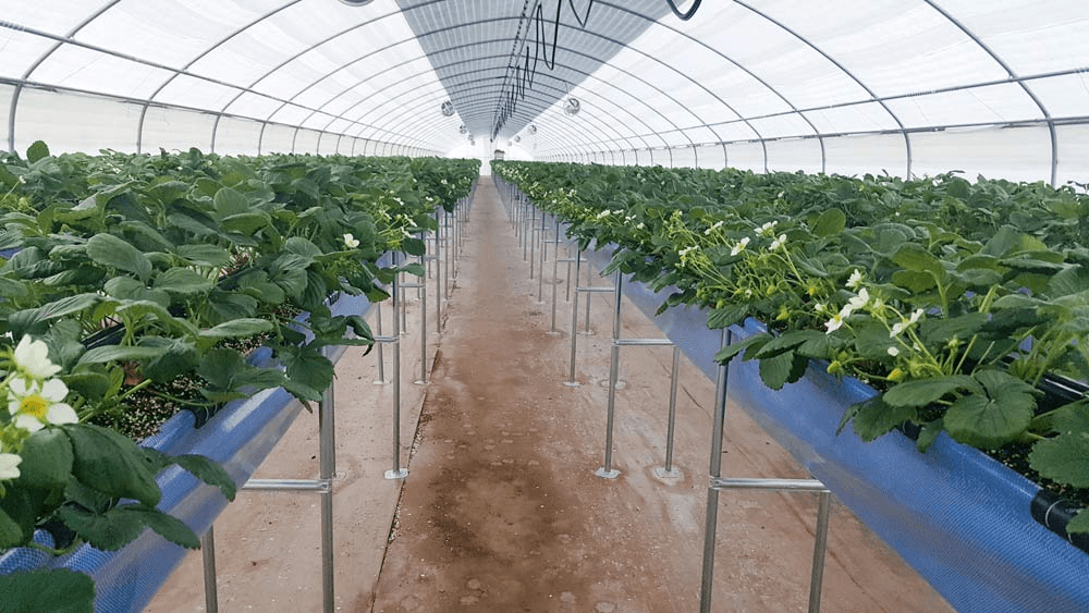 봉화 협곡구비마을 살아보기 1기 (농촌살아보기)