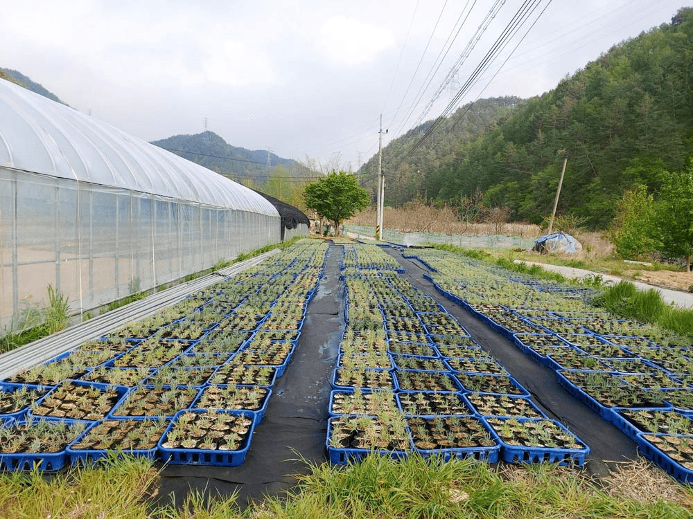 봉화 협곡구비마을 살아보기 1기 (농촌살아보기)