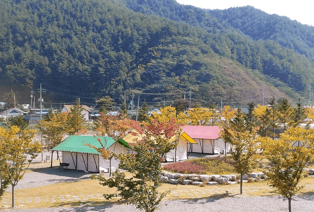 봉화 협곡구비마을 살아보기 1기 (농촌살아보기)