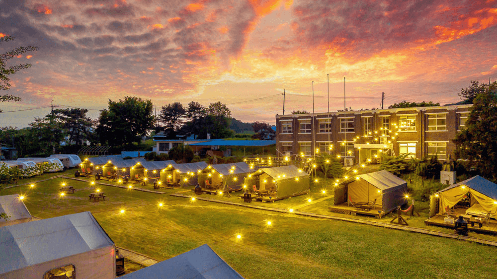 파주 평화누리캠핑장 무료체험 참가자 모집