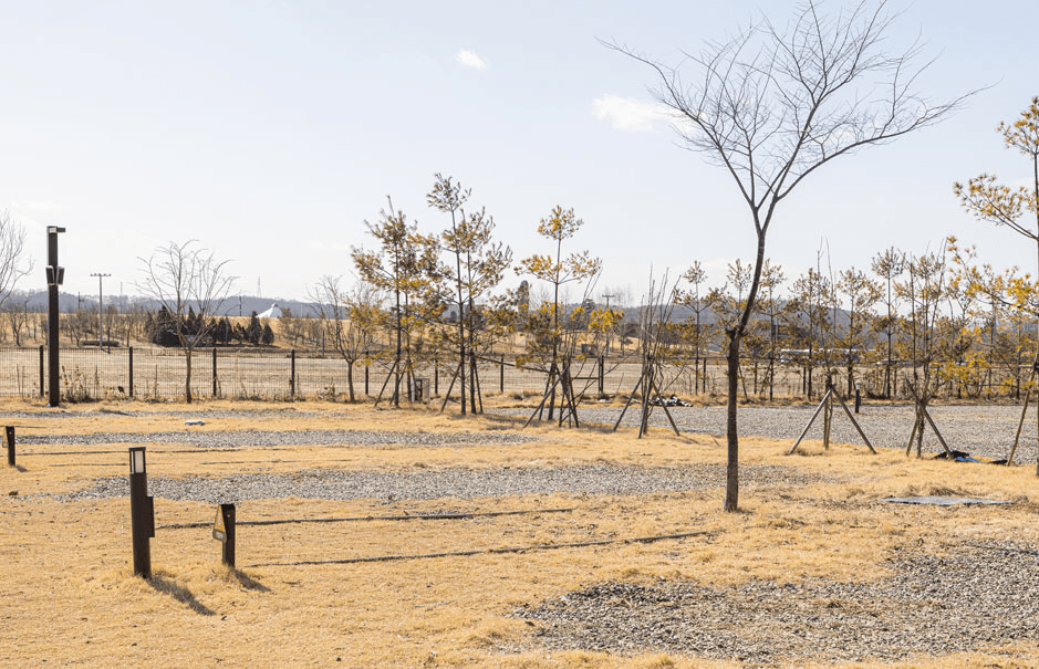 파주 평화누리캠핑장 무료체험 참가자 모집