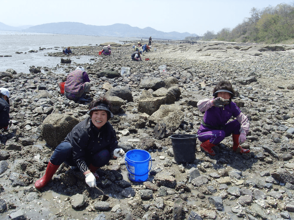 고흥 선정은하수&꼬막마을 살아보기 1기 (농촌살아보기)